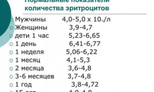 Что означают повышенные эритроциты в крови?