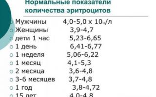 Что означают повышенные эритроциты в крови?