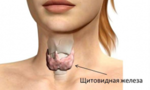 Причины и лечение повышенного диастолического давления