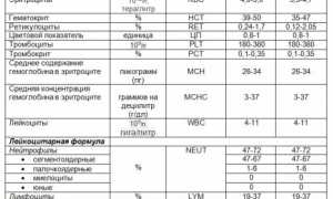 Общий анализ крови: расшифровка результатов у взрослых