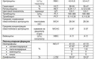 Общий анализ крови: расшифровка результатов у взрослых