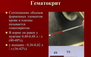 Что такое гематокрит в анализе крови?