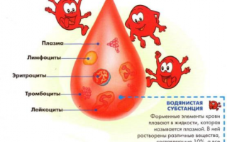 Форменные элементы крови: эритроциты, лейкоциты, тромбоциты