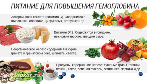 Продукты питания, способствующие повышению гемоглобина в крови