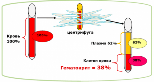 Как определяется гематокритное число