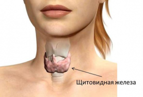 Щитовидная железа