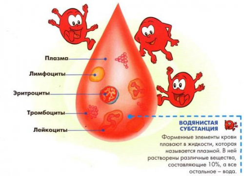 Кровь