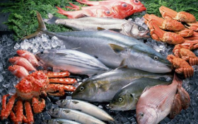 Рыба и морепродукты