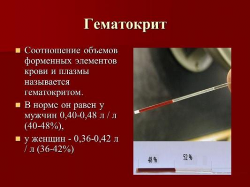 Общие данные о гематокрите