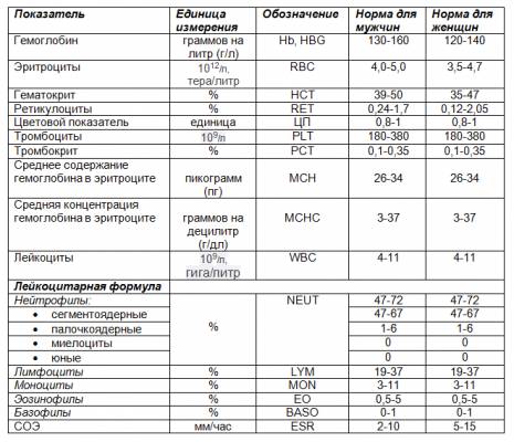 Норма показателей общего анализа крови у взрослых