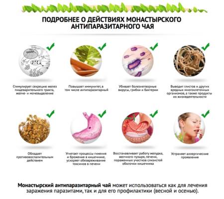 Узнать цену монастырского антипаразитарного чая Узнать цену монастырского антипаразитарного чая