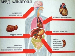 Почему желудок болит после употребления алкоголя? Почему желудок болит после употребления алкоголя?