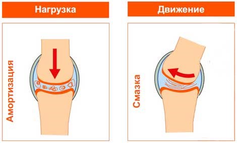Препараты гиалуроновой кислоты для лечения суставов Препараты гиалуроновой кислоты для лечения суставов