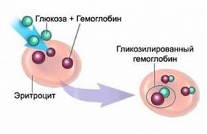 Зачем проверять гликированный гемоглобин? Зачем проверять гликированный гемоглобин?