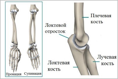 Причины, признаки и лечение перелома костей предплечья Причины, признаки и лечение перелома костей предплечья